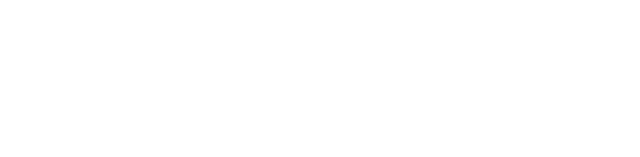 AVIS_VAN_RENTAL.png